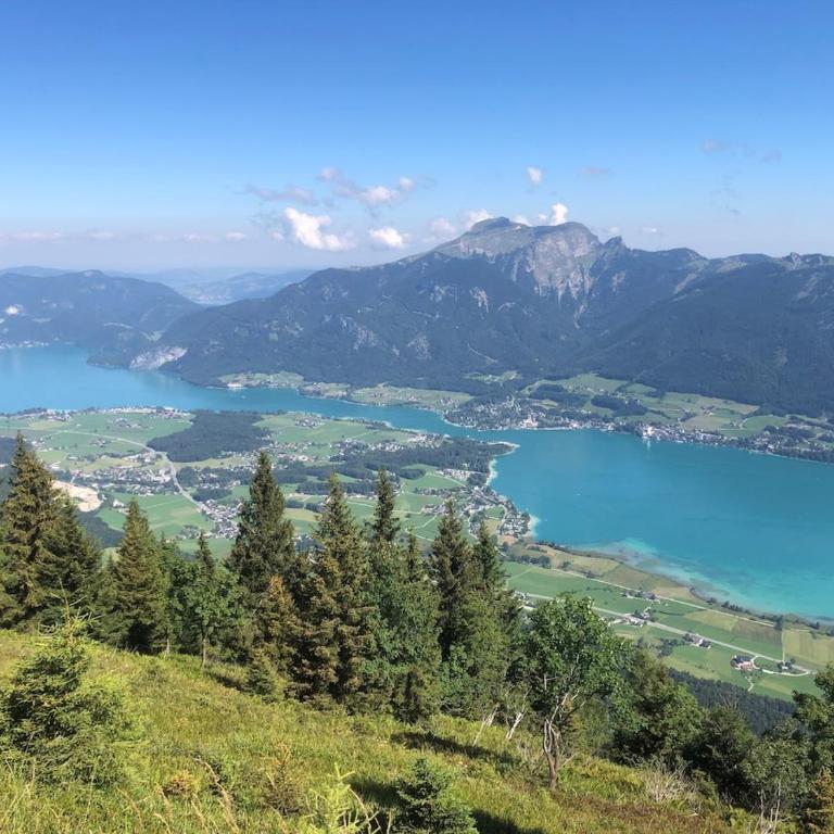 Ferienwohnung Obereck Natur-Ruhelage - Bad Ischl - Apartment mit 1 Schlafzimmer - 26