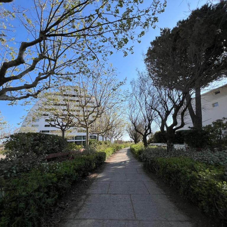 Sol-y-Days Arc en ciel, appartement moderne proche plages - Apartment mit Gartenblick - 25