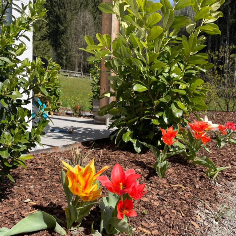 Waldblick - Neubau - Self-Check-In - kein Verkehr - am Wald - Parkplätze vor Tür - apartment or double room - Apartment mit 2 Schlafzimmern - 9