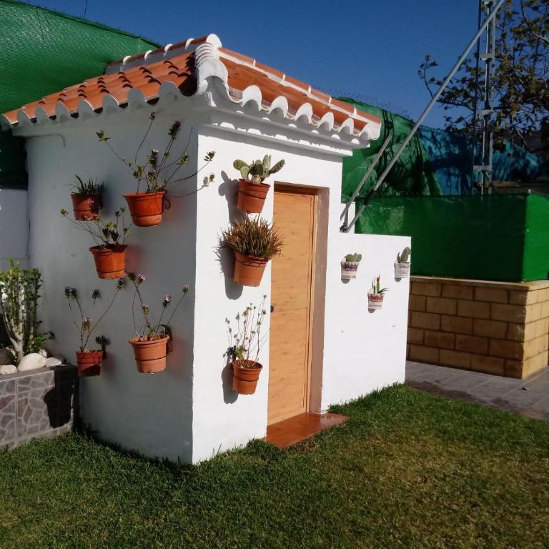El cortijo de mis niños - Casa de 2 dormitorios - 18