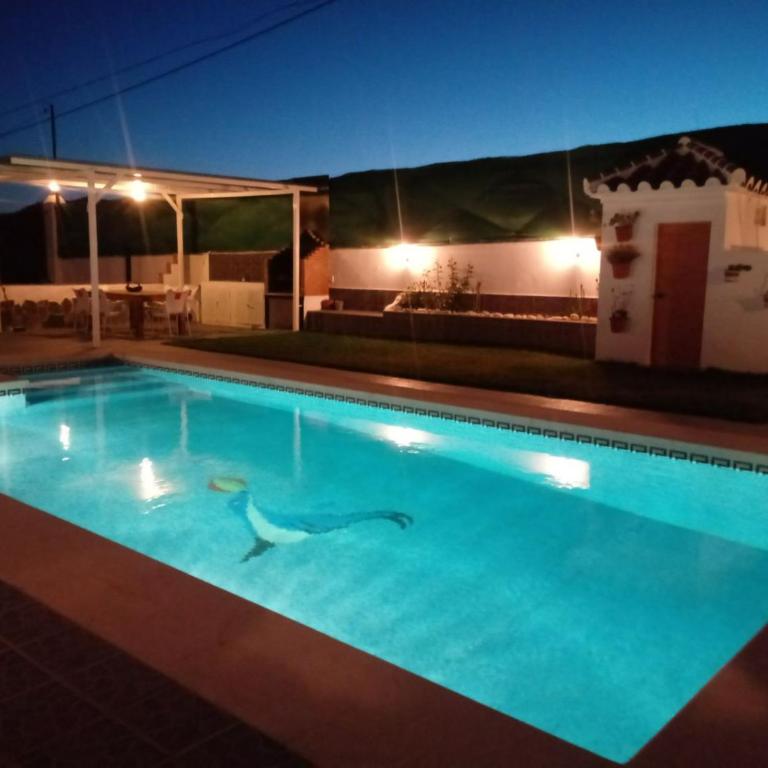 El cortijo de mis niños - Casa de 2 dormitorios - 3