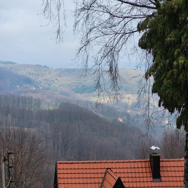 Harmonija Magnet - Apartman sa 1 Spavaćom Sobom - 11