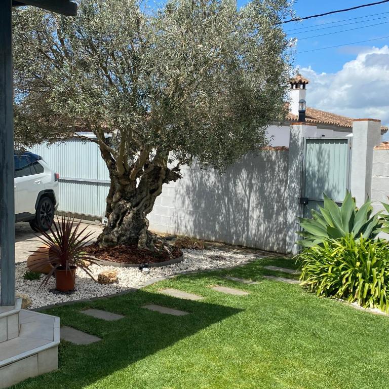 Villa Árbol del Tule - Casa de 4 dormitorios - 12