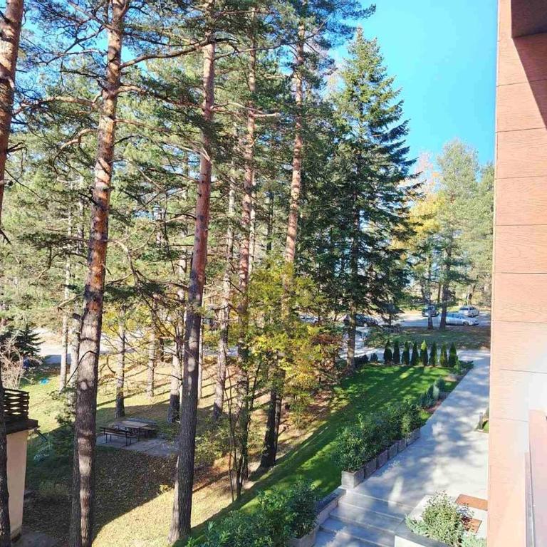 Pine & Peak Zlatibor Apartman - One-Bedroom Apartment - 12