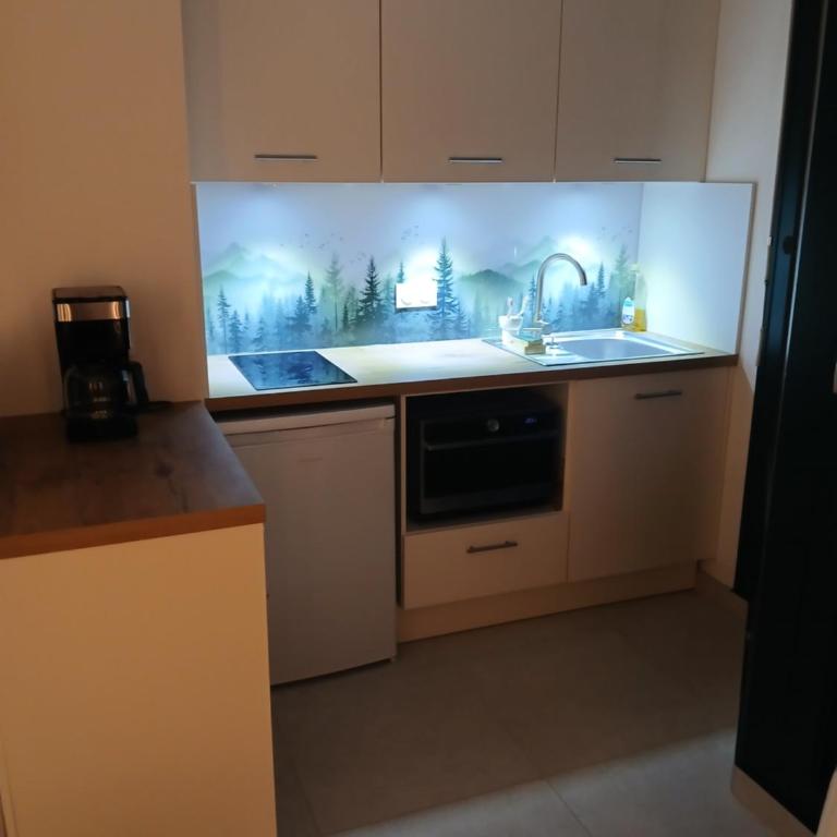 Magnifique studio Megève - Appartamento con 1 Camera da Letto - 8