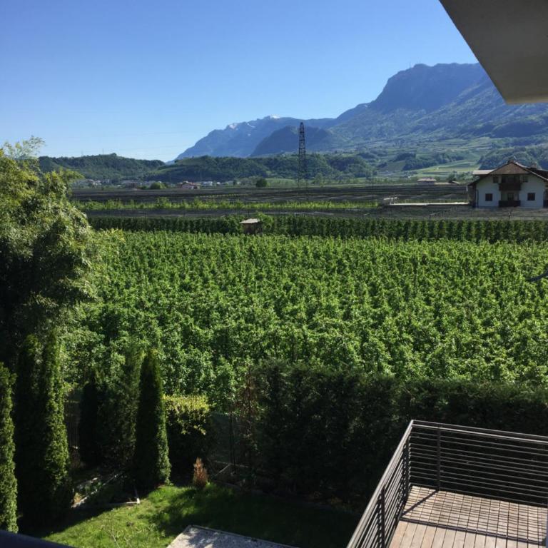 B&B Mele d'Oro - Junior Suite Familiare - 4