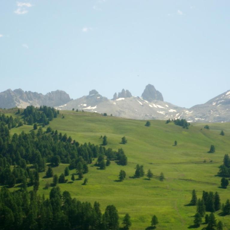 Exceptionnel - Au pied des montagnes & Départ de randos direct - PELVOUX II - VARS - Apartment mit Gartenblick - 35