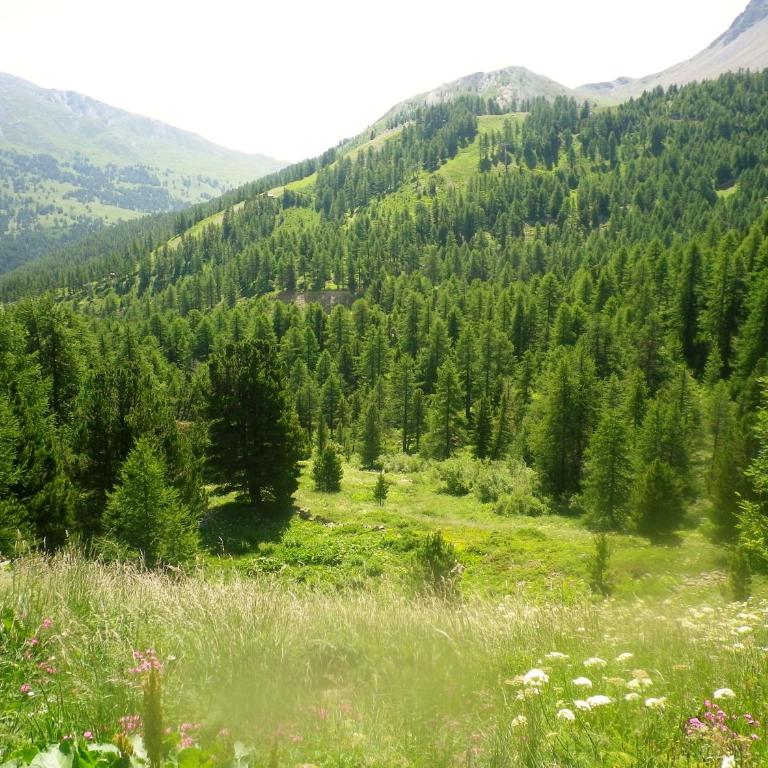 Exceptionnel - Au pied des montagnes & Départ de randos direct - PELVOUX II - VARS - Apartment mit Gartenblick - 38