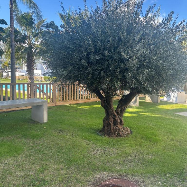 Mijas Tres Caminos - Three-Bedroom Apartment - 35