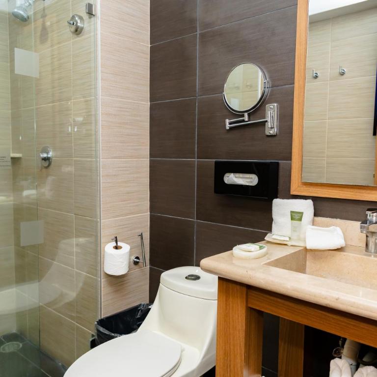 JF Grand Puebla - Habitación Doble - Sin ventana - 1