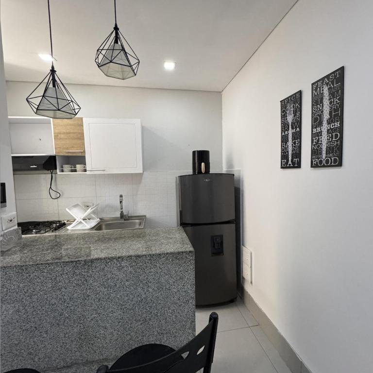 Espectacular Apartamento Amoblado - 2 Habitaciones - Apartamento de 2 dormitorios - 25