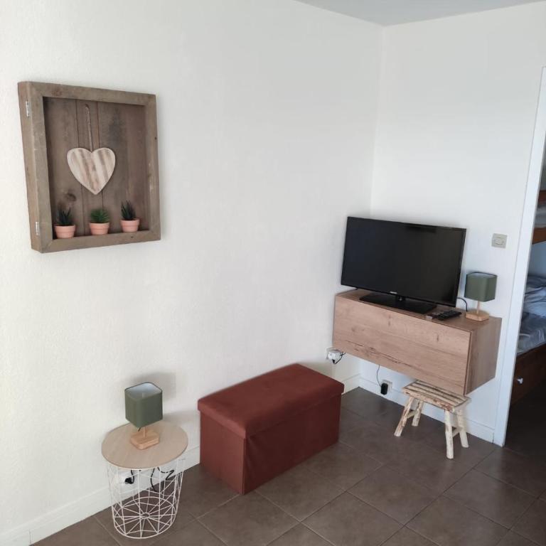 Studio avec vue panoramique sur la montagne - Appartement 1 Chambre - 5