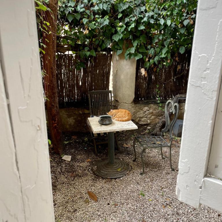 Nice Garden Hotel - Chambre Simple - 5