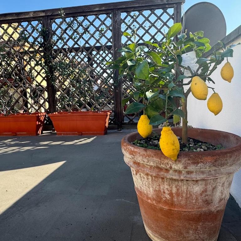 Rooftop via Appia Nuova, Roma - Appartamento con 1 Camera da Letto - 18