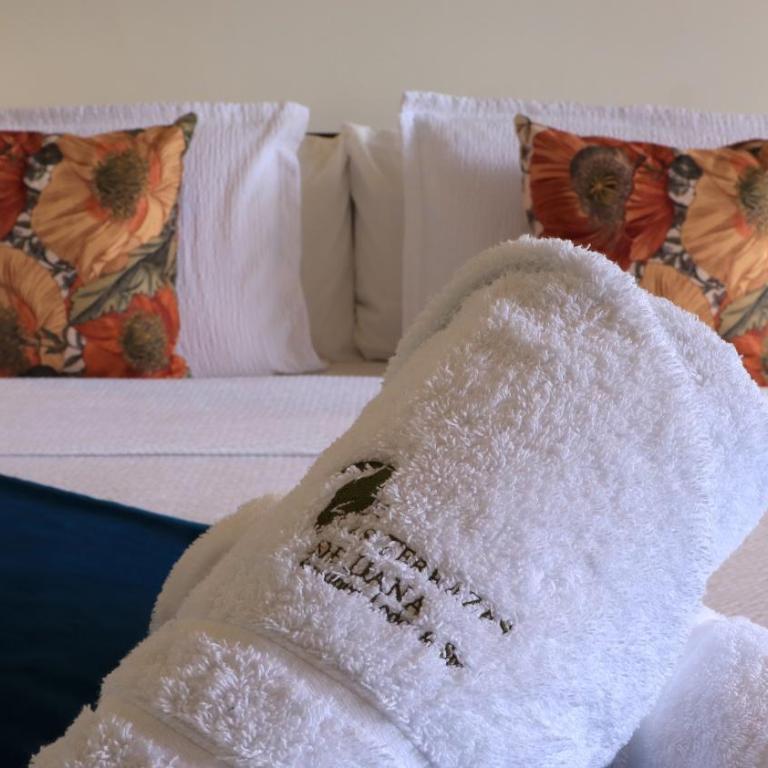 Las Terrazas de Dana Boutique Lodge & Spa - Suite con bañera de hidromasaje - Cama extragrande - 12