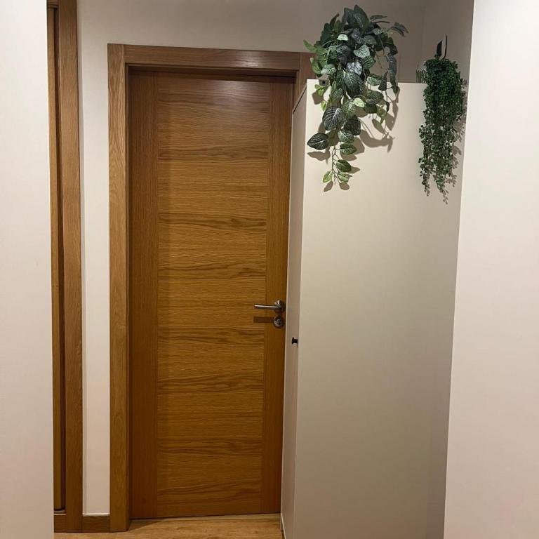 1 C ccc - Apartamento de 1 dormitorio - 23