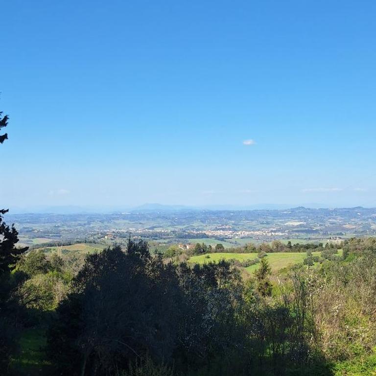 Buonriposo San Gimignano - Appartamento con 1 Camera da Letto - 21