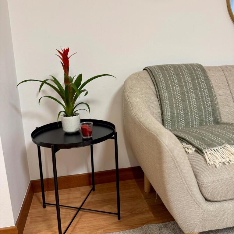 Apartamento Solera - Apartamento de 1 dormitorio - 17