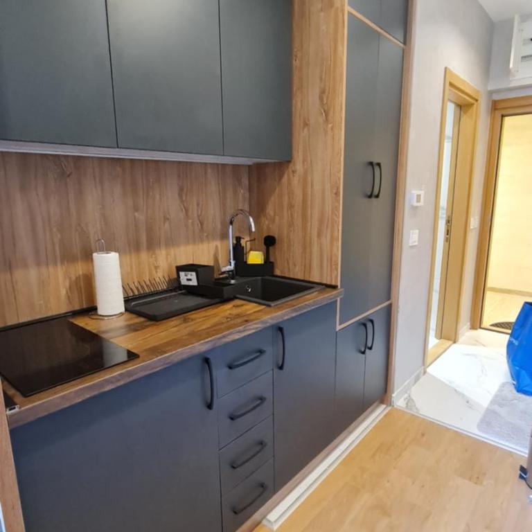Centar Balkan Square - One-Bedroom Apartment - 4