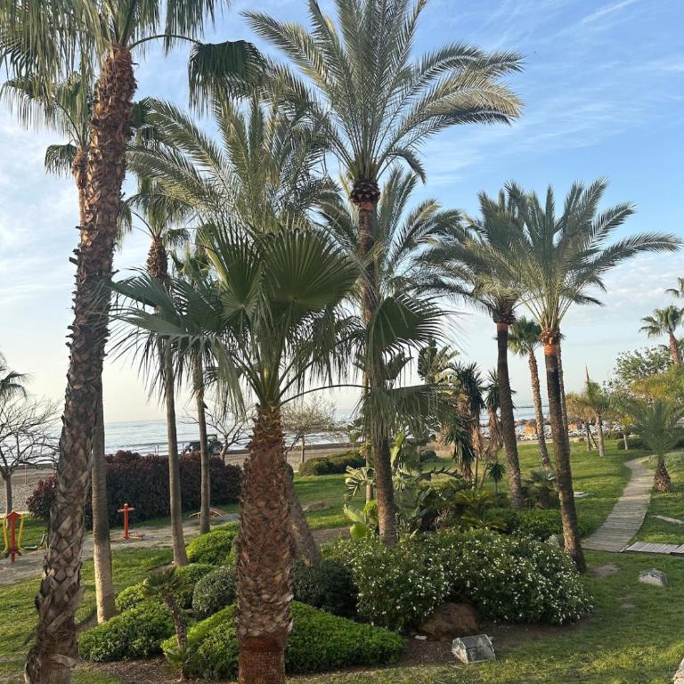 Sol y Mar Sea View Balcony 150m to Beach - Apartamento de 1 dormitorio - 52
