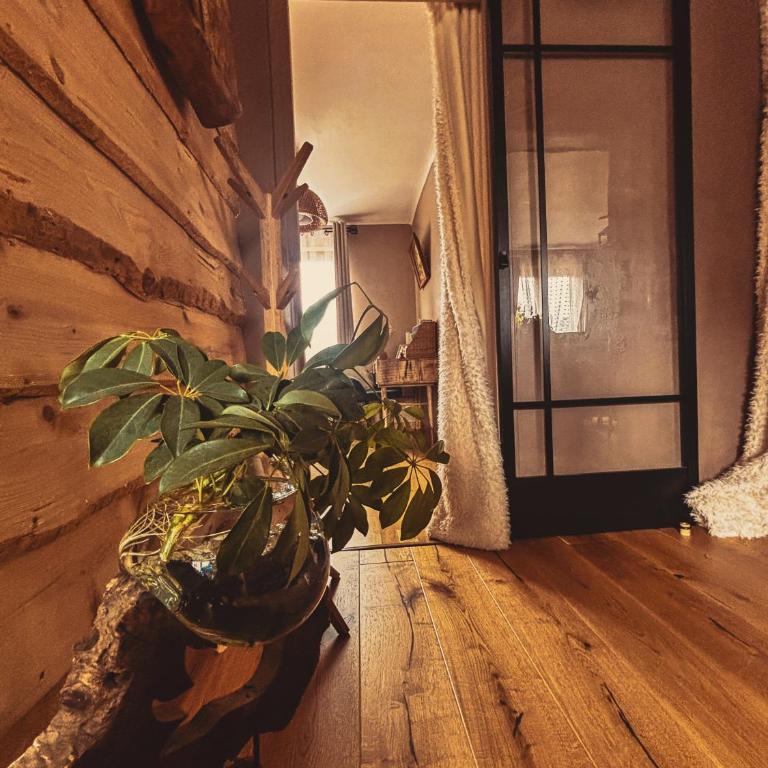 La Cabane de Marie - Appartement 1 Chambre - 12