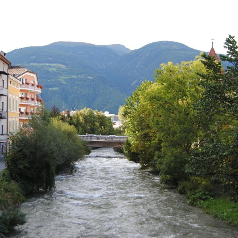 Trogerhof - Appartamento con Vista Montagna - 31
