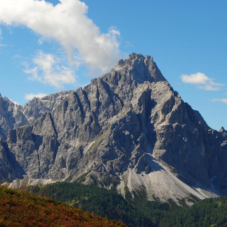 Trogerhof - Appartamento con Vista Montagna - 32