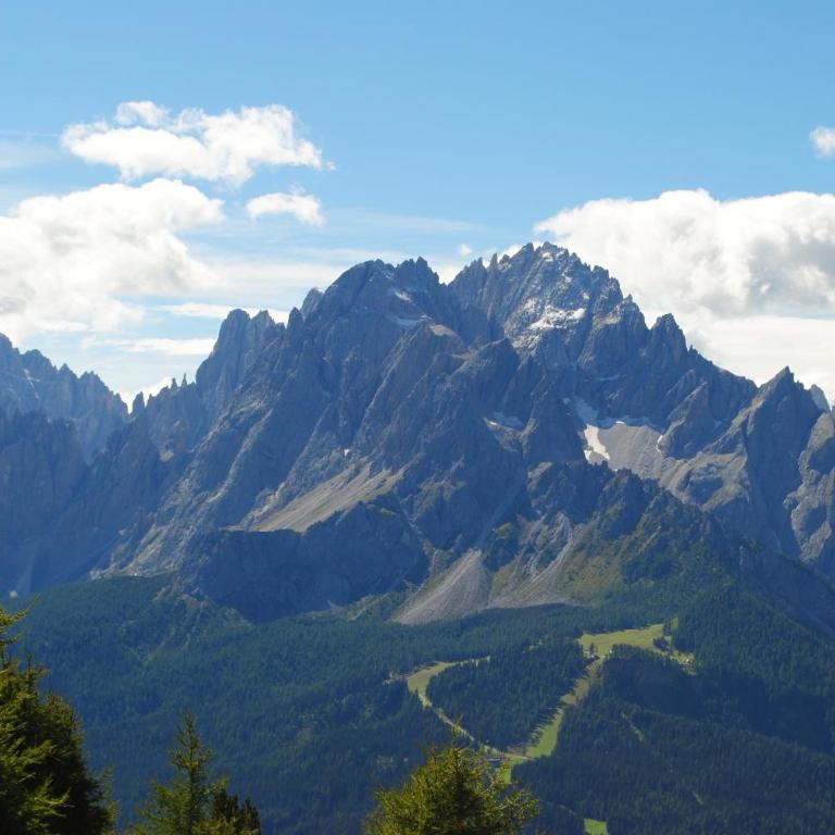 Trogerhof - Appartamento con Vista Montagna - 33