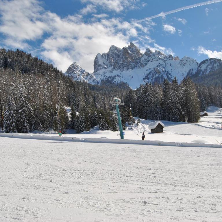 Trogerhof - Appartamento con Vista Montagna - 36