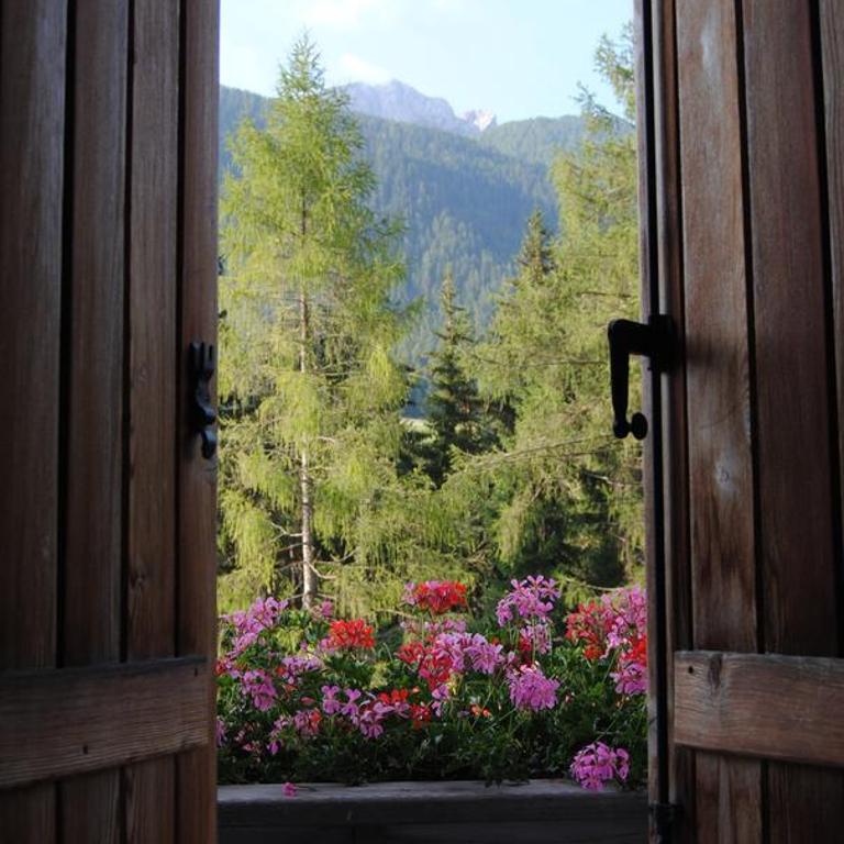Trogerhof - Appartamento con Vista Montagna - 14
