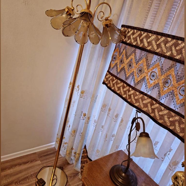 Apartman stan na dan Sarajevo - Apartman sa 1 Spavaćom Sobom - 11
