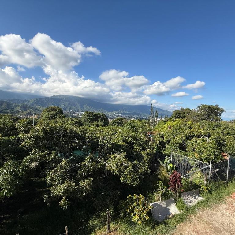 Apartamento campestre 202 - Two-Bedroom Apartment - 9