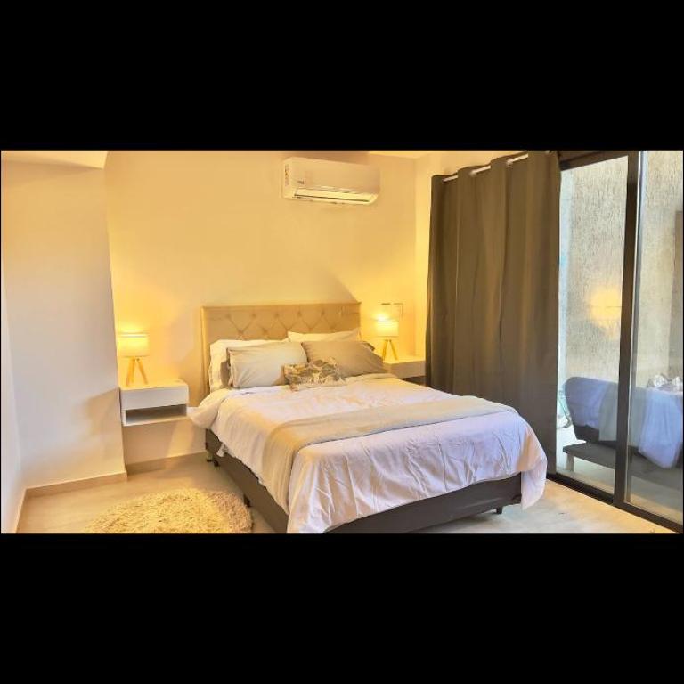 Departamento zona centrica en mendoza - Apartamento de 1 dormitorio con vistas al jardín - 4