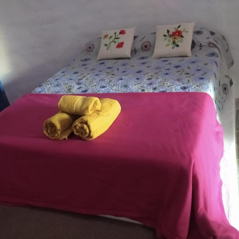 Hilos del Viento Tinogasta- Fiambalá - Casa con 1 dormitorio - 8