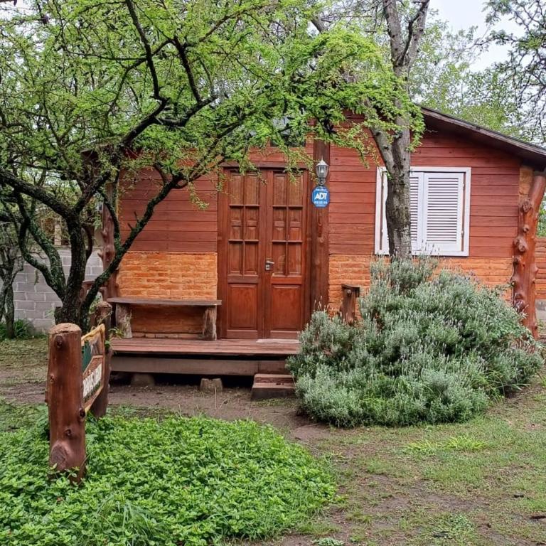 Cabañas Lignum Tiny House - One-Bedroom Chalet - 4