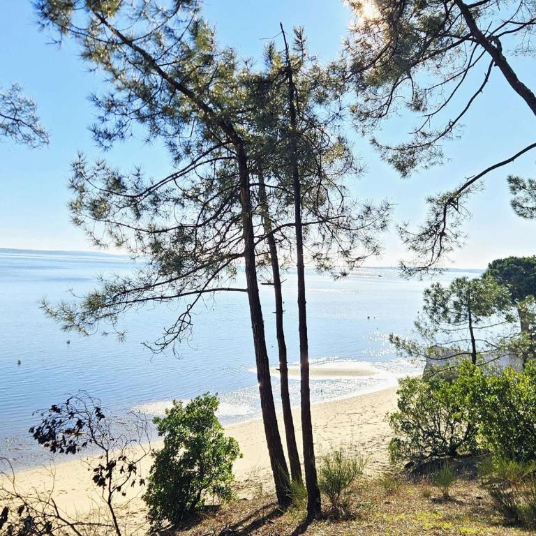 Villa plain-pied avec piscine et jardin arboré à Lège-Cap-Ferret - Villa 3 Chambres - 4