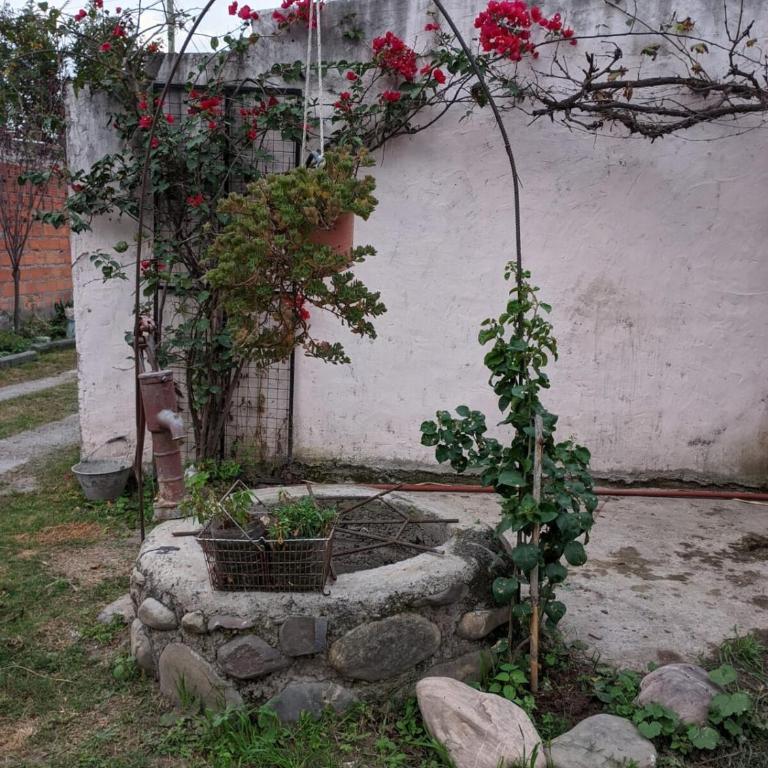 Casa Lago - Two-Bedroom Apartment - 18