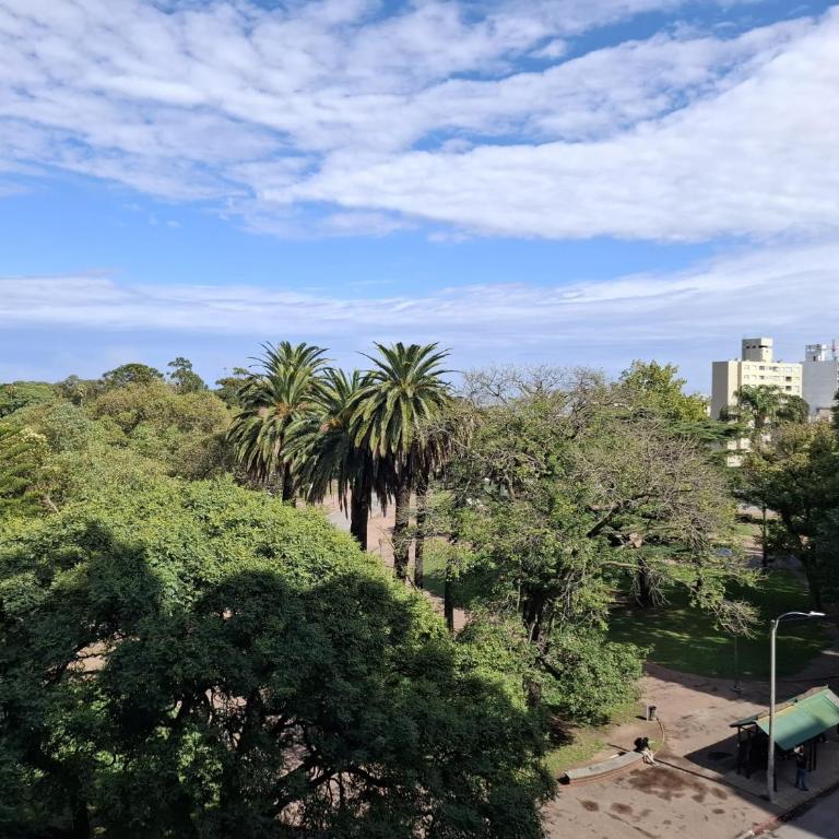 Apartamento en Montevideo frente al Parque Rodó - Apartamento con balcón - 18