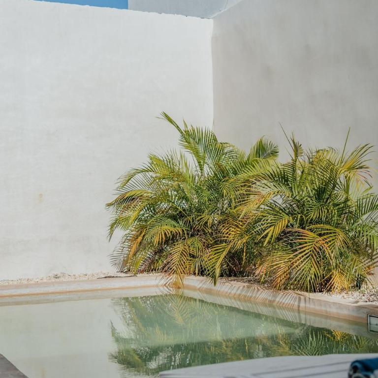 Casa Mara 53 Luxury House in downtown Mérida - Villa Deluxe - 4