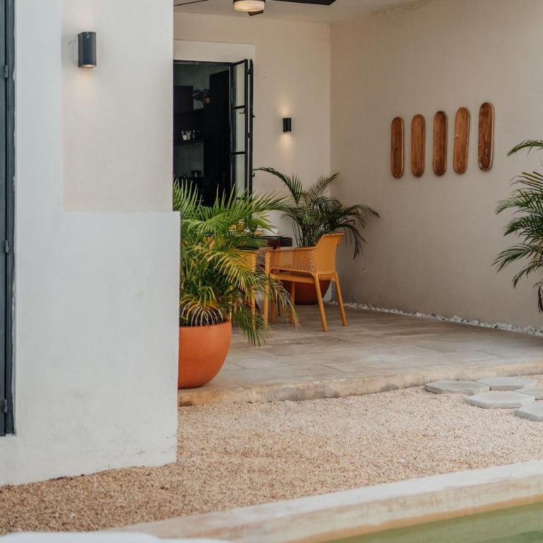 Casa Mara 53 Luxury House in downtown Mérida - Villa Deluxe - 6