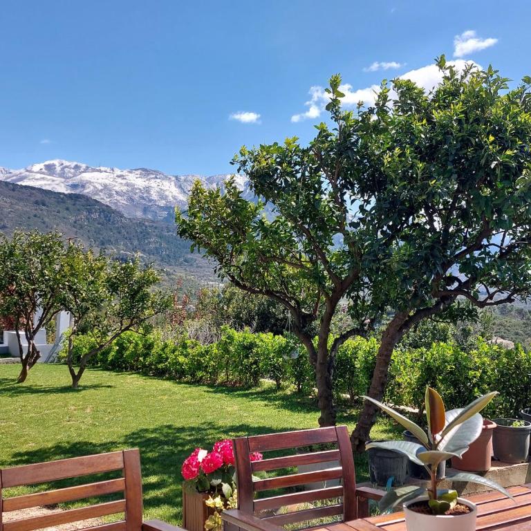 Mio Monte Apartments - Free Parking and Wi-Fi - Calm, Garden, See and Mountain View, Tivat - Porto Montenegro 2km - One-Bedroom Apartment with Sea View and Balcony - 2