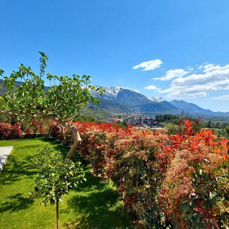 Mio Monte Apartments - Free Parking and Wi-Fi - Calm, Garden, See and Mountain View, Tivat - Porto Montenegro 2km - Studio Apartment with Balcony - 5