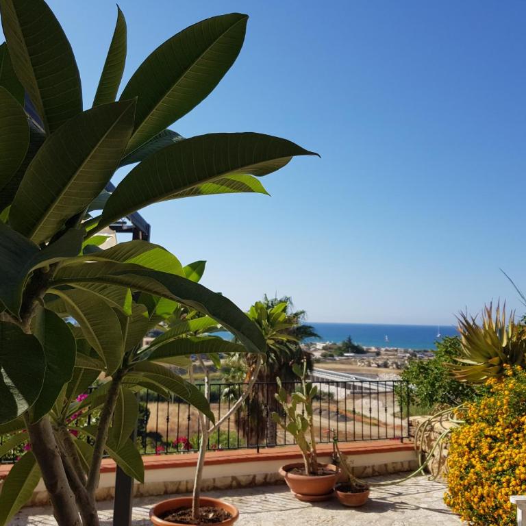 Villa delle Pomelie - Castellammare del Golfo - Apartment mit 2 Schlafzimmern - 31