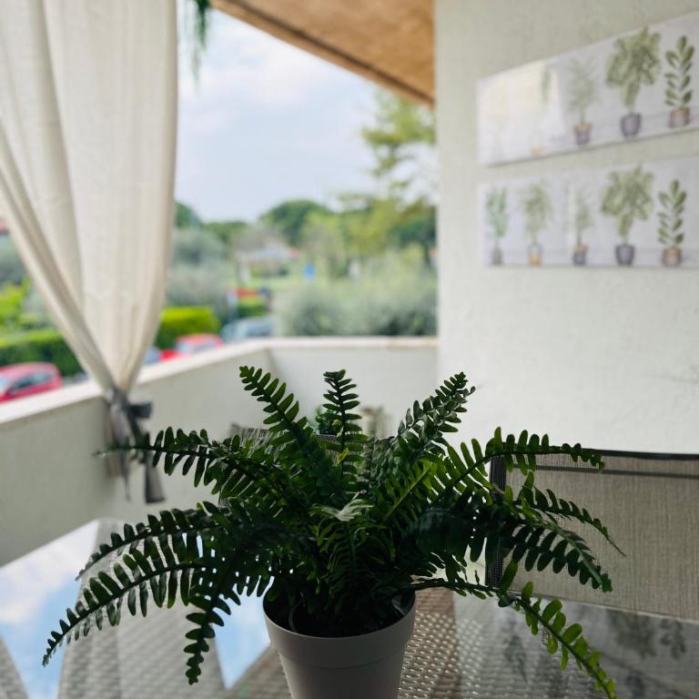 Family Livin' Sirmione Flats - Appartamento con 2 Camere da Letto - 6