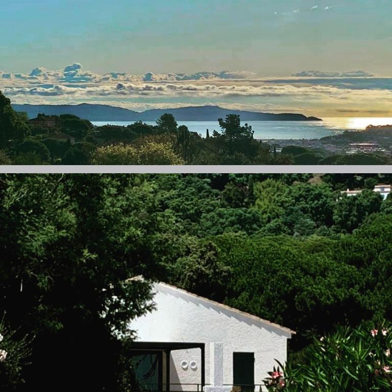 Vue mer et chant des oiseaux - Two-Bedroom Apartment - 5