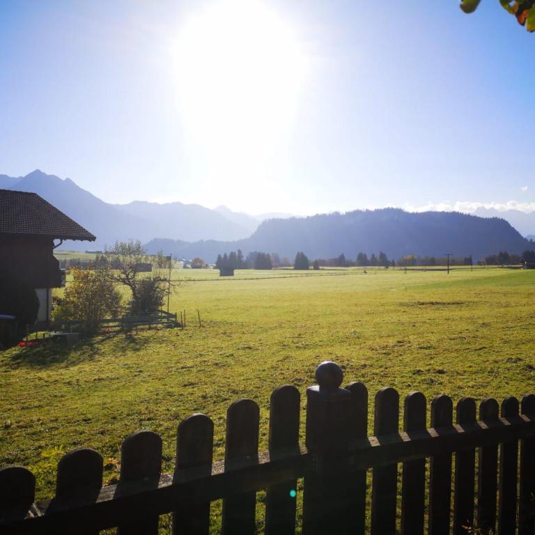 Ferienwohnung Alpengaudi in Bolsterlang Sommerbergbahn kostenlos - Apartment mit 2 Schlafzimmern und Bergblick - 20