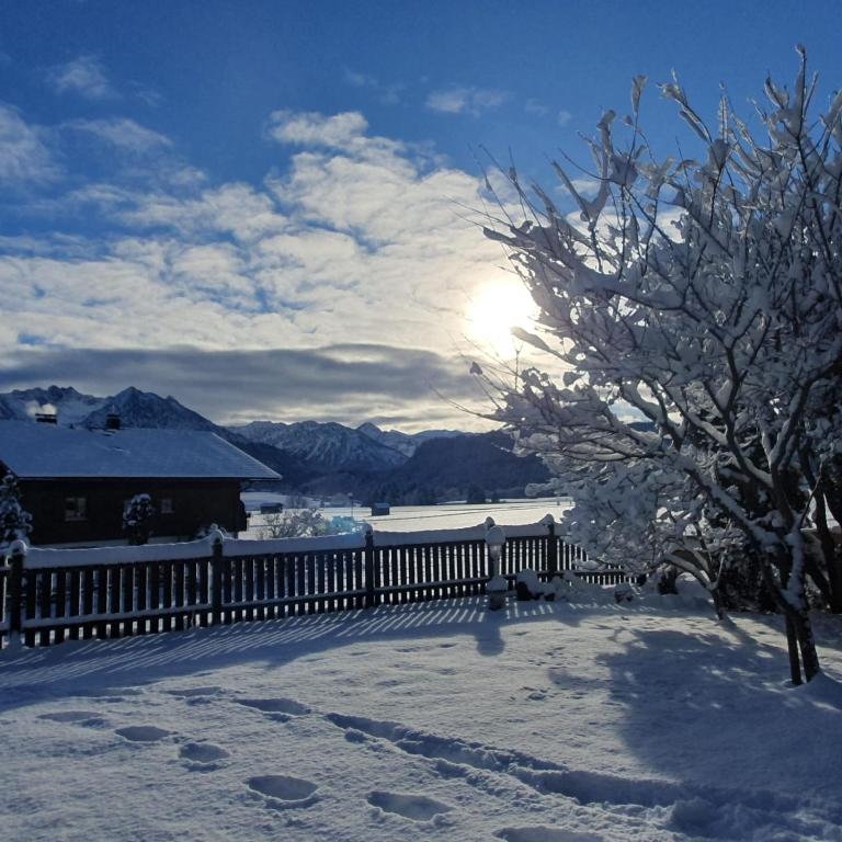 Ferienwohnung Alpengaudi in Bolsterlang Sommerbergbahn kostenlos - Apartment mit 2 Schlafzimmern und Bergblick - 23