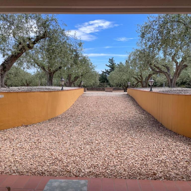 Rustico degli Ulivi - Appartamento con 2 Camere da Letto e Terrazza - 1