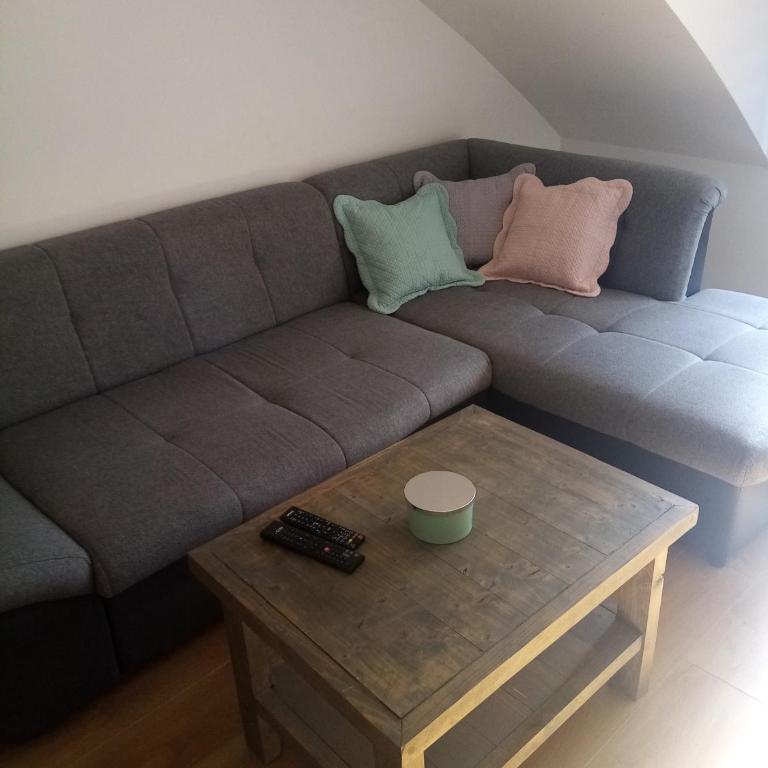 Apartman Petrovic - One-Bedroom Apartment with Garden View - 8