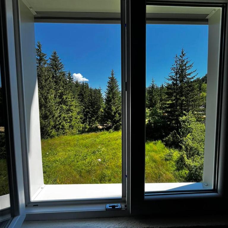 House Bozovic - Three-Bedroom Villa - 21